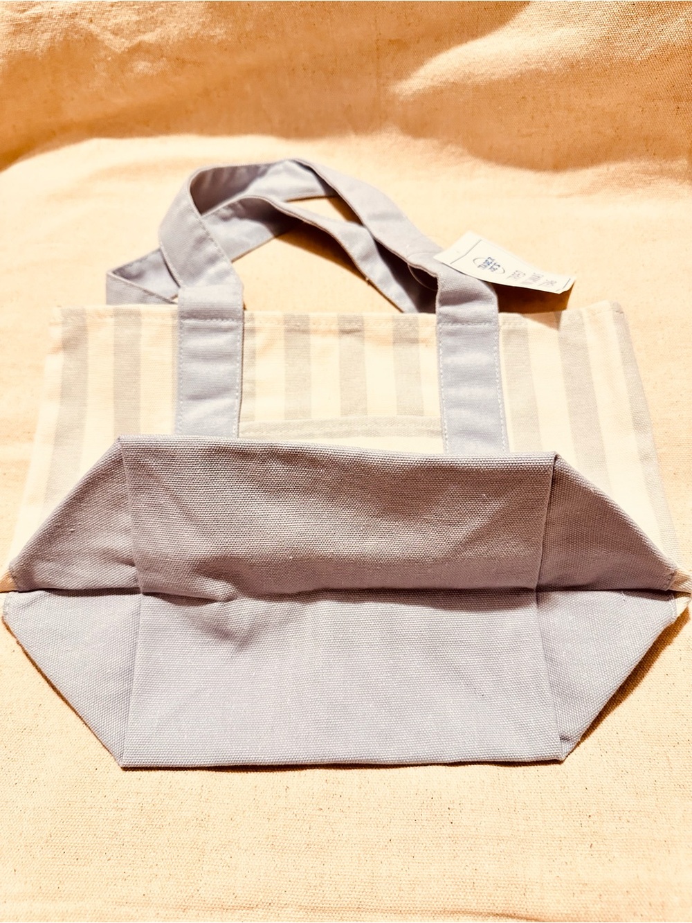 Trader Joe's | Tote | Trader Joe’s Striped Mini Canvas Tote Bag | Light Blue - Picture 5 of 11